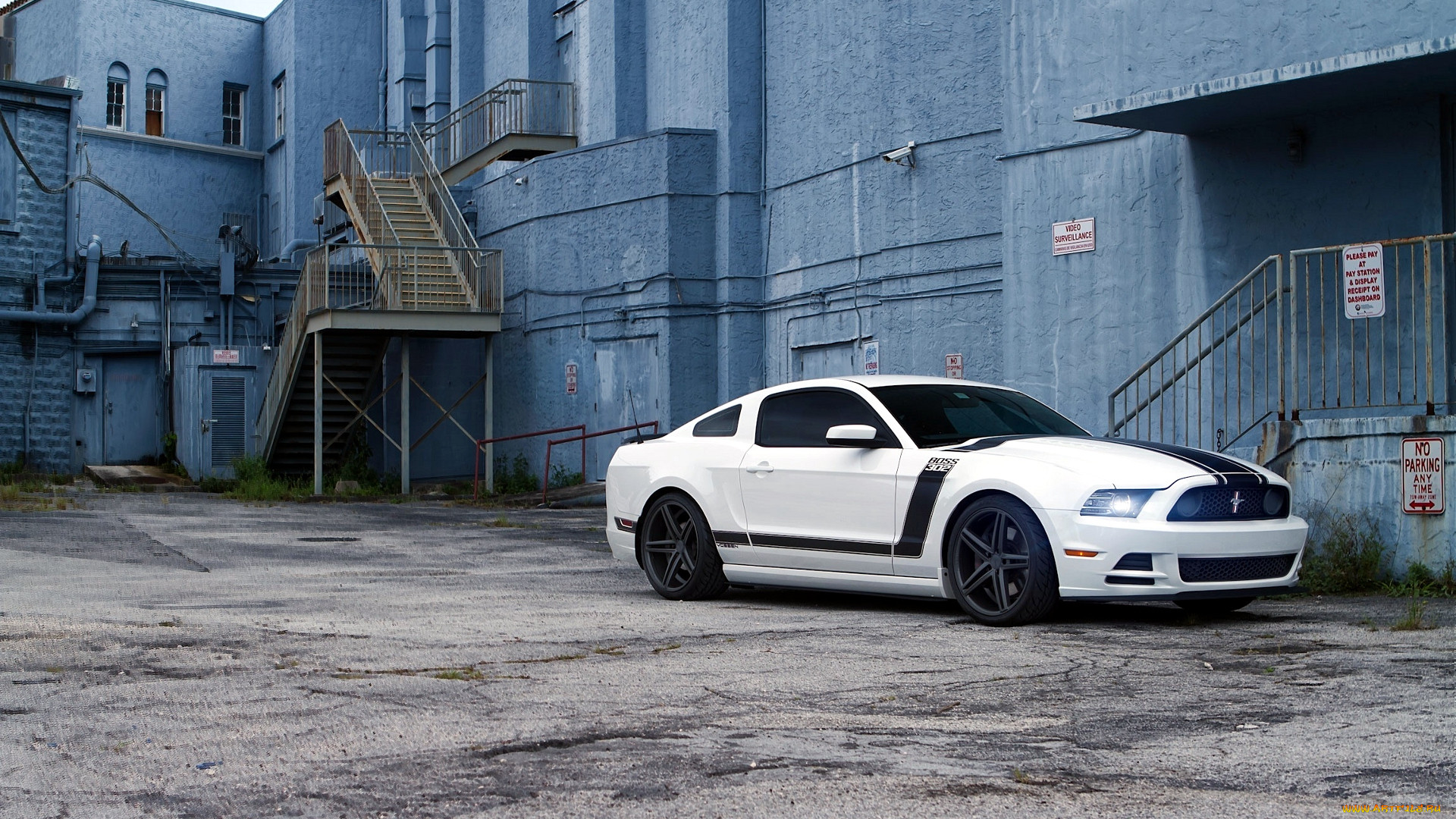 mustang, , ford, motor, company, 